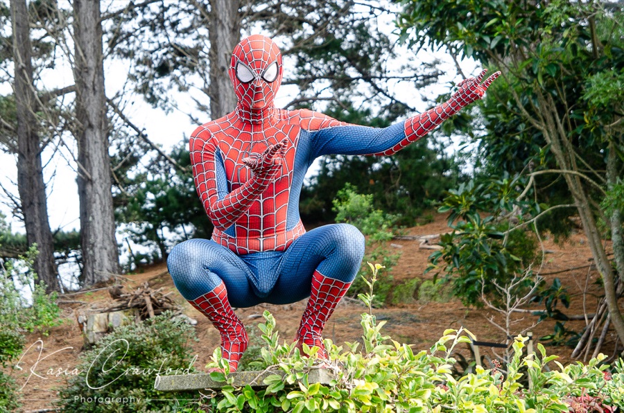 Spider-Man-inspired web-slinger character entertainer for NZ kids parties